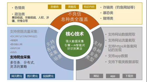 創(chuàng)旗申東吉 邊緣計算與信息安全監(jiān)管在互聯網信息服務中的挑戰(zhàn)與機遇